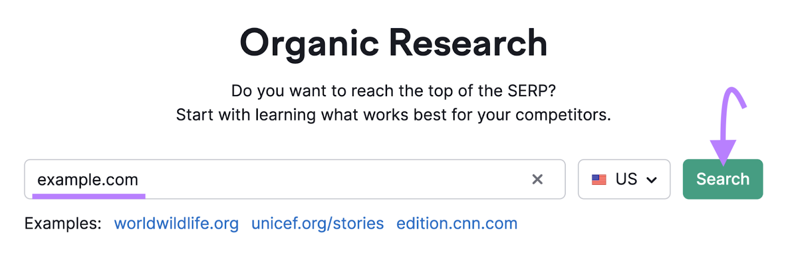 Organic Rankings tool search bar